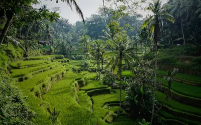 ザ・ベネチアン・マカオ完全ガイド